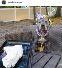 Load image into Gallery viewer, Purple Rain Triplo Acrylic Bead Collar