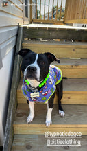 Load image into Gallery viewer, Electric Lime Green Acrylic Bead Collar