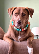 Load image into Gallery viewer, Surfside Acrylic Bead Collar