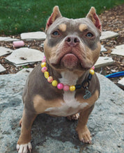Load image into Gallery viewer, Akira's Pink Lemonade š©·š Bead Collar