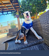 Load image into Gallery viewer, ⚾️ Baseball MLB Team Colors Bead Collar