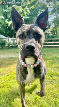 Load image into Gallery viewer, Rouge Gold Glam Bead Collar