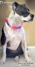 Load image into Gallery viewer, Raspberry Sugar Bead Collar