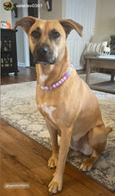 Load image into Gallery viewer, Lilac Glow Bead Collar
