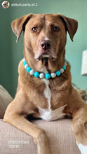 Load image into Gallery viewer, Coastal Gray Acrylic Bead Collar