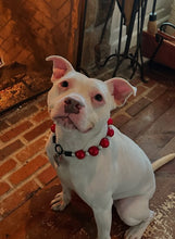 Load image into Gallery viewer, Jumbo Santa Baby Bead Collar