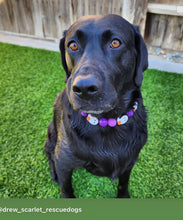 Load image into Gallery viewer, Purple Boo š» Halloween Glow Bead Collar
