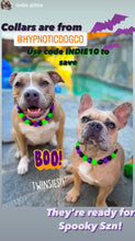 Load image into Gallery viewer, Monster Bash Bead Collar