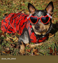 Load image into Gallery viewer, Red & Black Skull Bead Collar