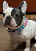 Load image into Gallery viewer, Unicorn Glam 🦄 Bead Collar
