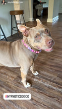 Load image into Gallery viewer, Pink Sugar Bead Collar