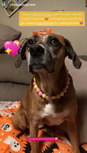 Load image into Gallery viewer, Akira's Pink Lemonade š©·š Bead Collar