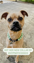 Load image into Gallery viewer, Minty Sage Acrylic Bead Collar - SALE