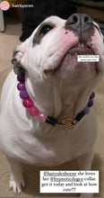 Load image into Gallery viewer, Raspberry Sugar Bead Collar