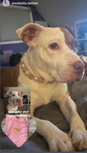 Load image into Gallery viewer, Rose Gold Champagne Bead Collar