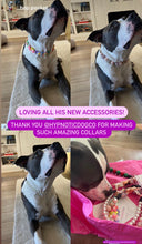 Load image into Gallery viewer, Rose Gold Champagne Bead Collar
