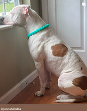 Load image into Gallery viewer, Neon Turquoise Acrylic Bead Collar