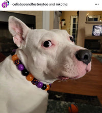 Load image into Gallery viewer, Witchy Bead Collar