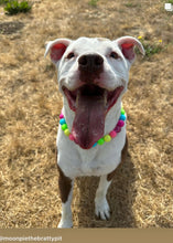 Load image into Gallery viewer, Neon Rainbow š Bead Collar
