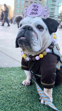 Load image into Gallery viewer, ⚾️ Baseball MLB Team Colors Bead Collar