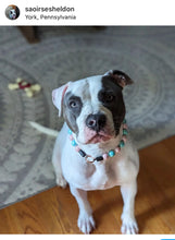 Load image into Gallery viewer, Cotton Candy Shine Bead Collar - SALE
