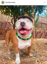 Load image into Gallery viewer, Green Thunder Acrylic Bead Collar