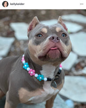 Load image into Gallery viewer, š¼ Pink & Blue Glow Daisies š¼ Silicone Bead Collar