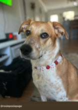 Load image into Gallery viewer, Red Frosty ⛄️ Bead Collar