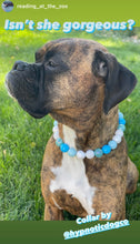 Load image into Gallery viewer, "The Big Lebowski" Acrylic Bead Collar