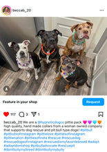 Load image into Gallery viewer, Orange Jupiter Bead Collar