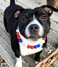 Load image into Gallery viewer, ⚾️ Baseball MLB Team Colors Bead Collar