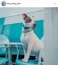Load image into Gallery viewer, Coastal Gray Acrylic Bead Collar