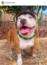 Load image into Gallery viewer, Green Thunder Acrylic Bead Collar
