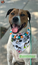 Load image into Gallery viewer, Tropicana Acrylic Bead Collar