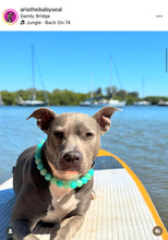 Load image into Gallery viewer, Sea Glass Acrylic Bead Collar