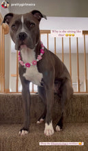 Load image into Gallery viewer, š¼ Pink Ombre Daisies š¼ Silicone Bead Collar