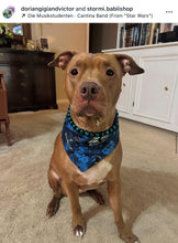 Load image into Gallery viewer, Blue Spark Bead Collar