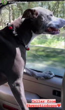 Load image into Gallery viewer, Friday the 13th Bead Collar