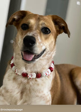 Load image into Gallery viewer, Red Frosty ⛄️ Bead Collar