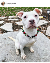 Load image into Gallery viewer, Grinchmas š Bead Collar