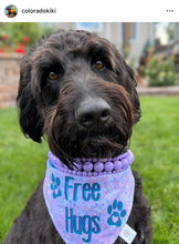Load image into Gallery viewer, Purple Rain Triplo Acrylic Bead Collar