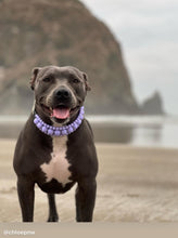 Load image into Gallery viewer, Lavender Rain Triplo Acrylic Bead Collar