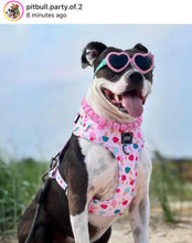 Load image into Gallery viewer, Pink Clouds Acrylic Bead Collar