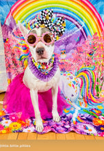 Load image into Gallery viewer, 🍬 Tutti Frutti Candy Bead Collar - SALE