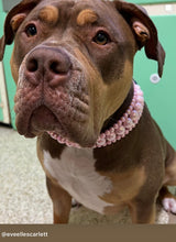 Load image into Gallery viewer, Blush Pink Rain Triplo Acrylic Bead Collar