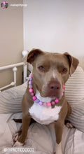Load image into Gallery viewer, Pink Sugar Bead Collar