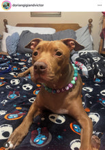 Load image into Gallery viewer, Technicolor Glitter Bead Collar