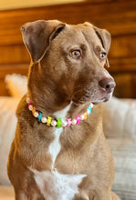 Load image into Gallery viewer, 🍬 Tutti Frutti Candy Bead Collar - SALE
