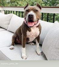 Load image into Gallery viewer, Blush Pink Rain Triplo Acrylic Bead Collar