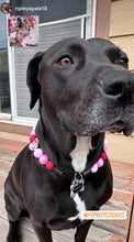 Load image into Gallery viewer, Love, Kitty š Bead Collar